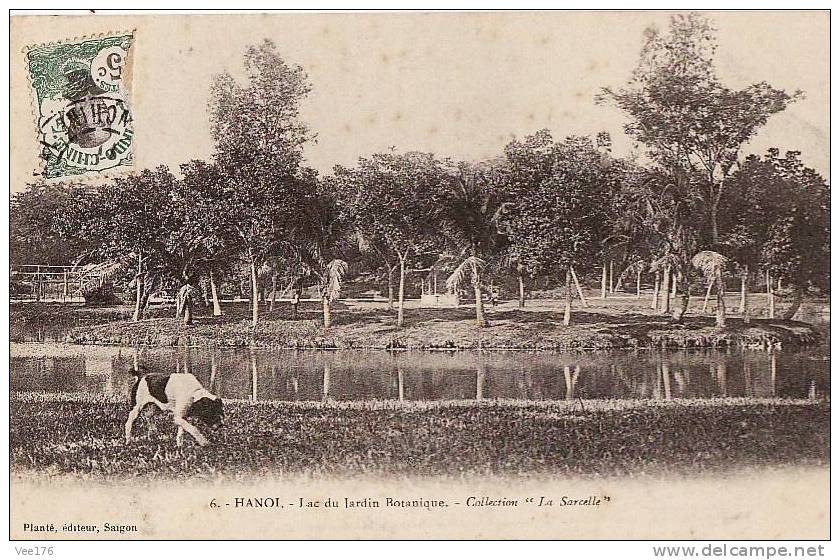 ASIE / VIET-NAM / HANOÏ / Lac Du Jardin Botanique - Vietnam