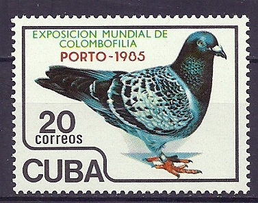 Cuba 1985 Birds Oiseaux  Aves Doves Porto World Pigeon Breeding Exhibition MNH - Palomas, Tórtolas