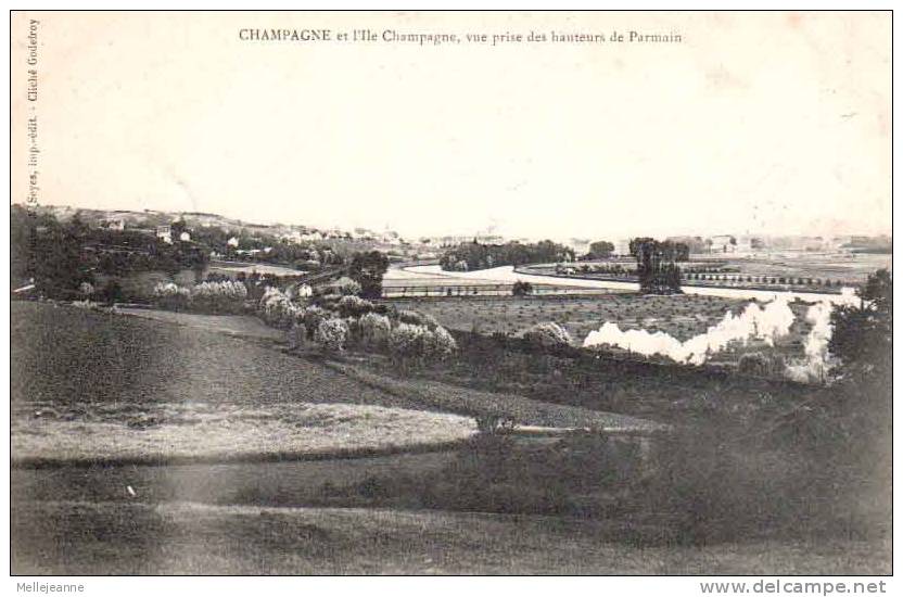 Cpa Champagne Et Ile Champagne (95) Vue Prise De Parmain . 1905 - Champagne Sur Oise