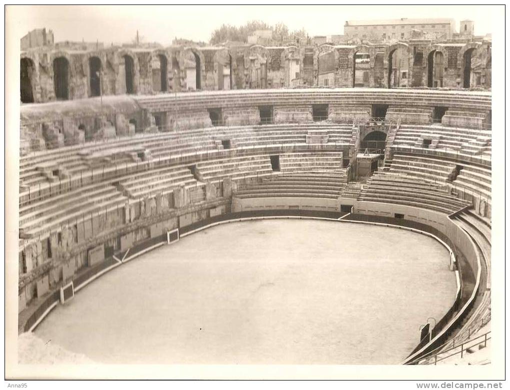 Grande Photo Originale 1959  ARENES D´ARLES  24x18 Cms - Lieux