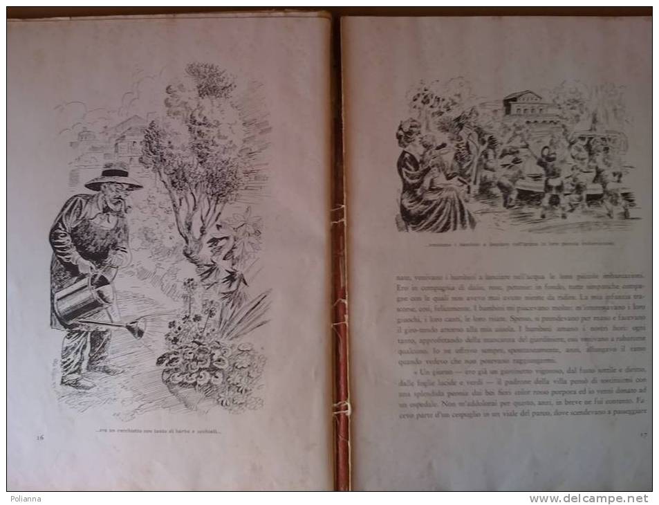 PC/17 Attilio Nastasi IL FIORE SUL CAMPANILE Ed.Cenobio 1944  Illustrazioni Cossio - Pelizza - Libri Antichi