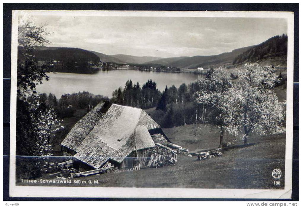 Allemagne--TITISEE- Schwarzwald 860 M --1942--  Cpsm Petit  Format  N° 190  éd  Chr.Franz - Titisee-Neustadt