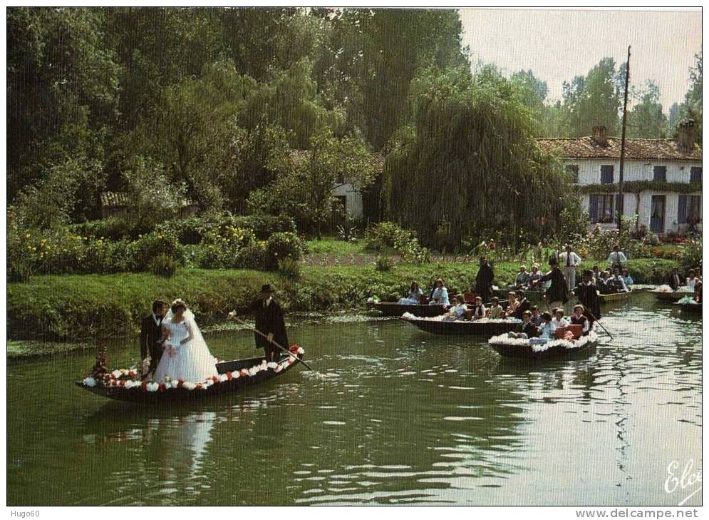 79 - MARAIS POITEVIN - Le Mariage En Barque Sur Les Marais - Edit: Elcé - Noces