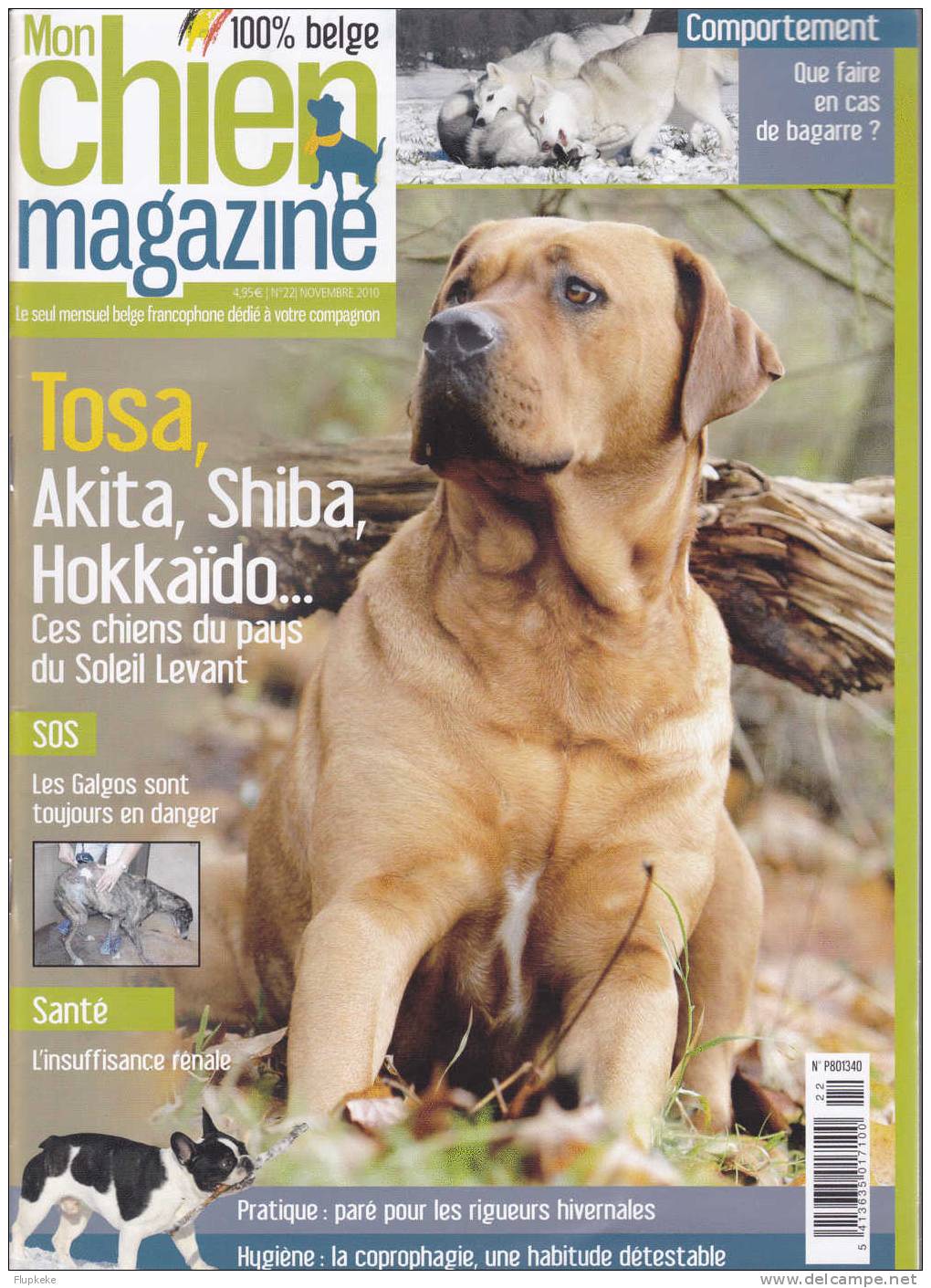 Mon Chien Magazine 22 Novembre 2010 Tosa Akita Shiba Hokkaïdo Ces Chiens Du Pays Du Soleil Levant - Dieren