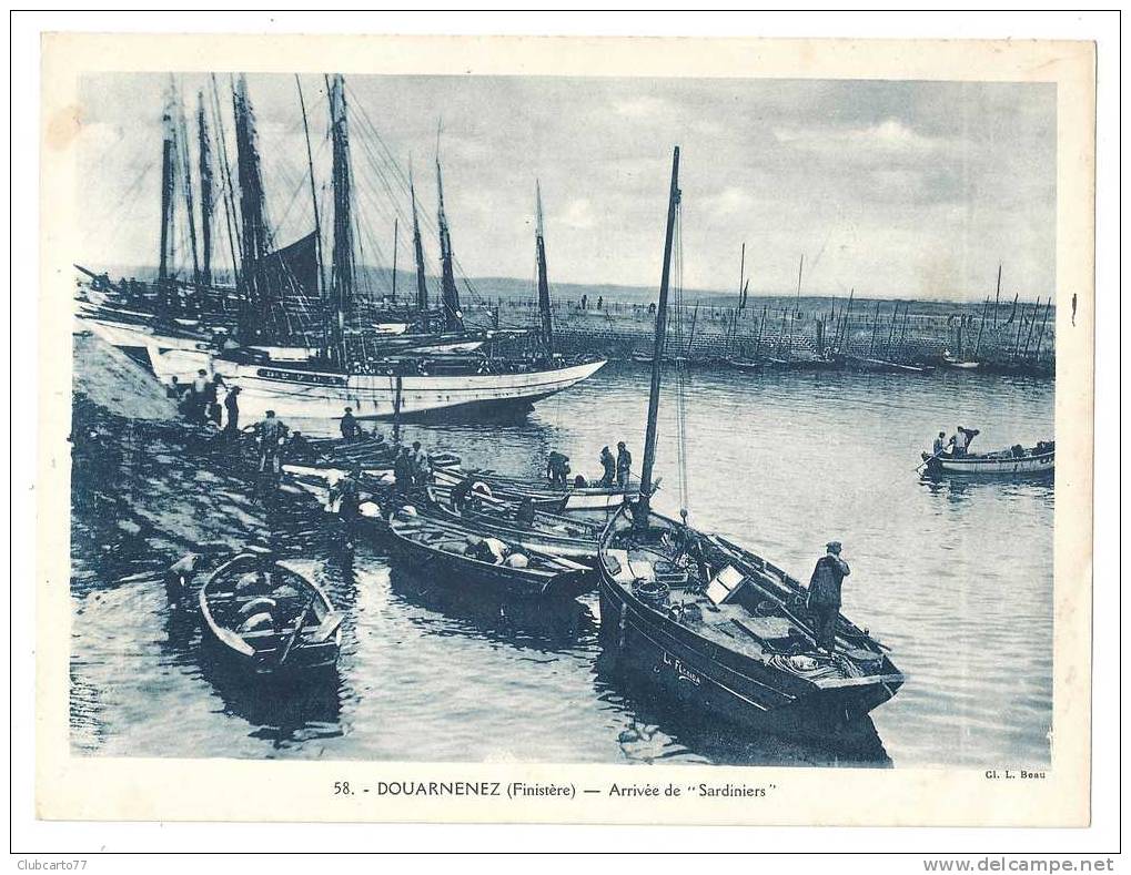 Douarnenez (29) : Arrivée Des Bateaux Sardiniers Env 1930 (animée). - Douarnenez