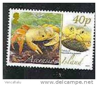 Ascension 2008 - Crab,  1 Stamp, MNH - Crostacei