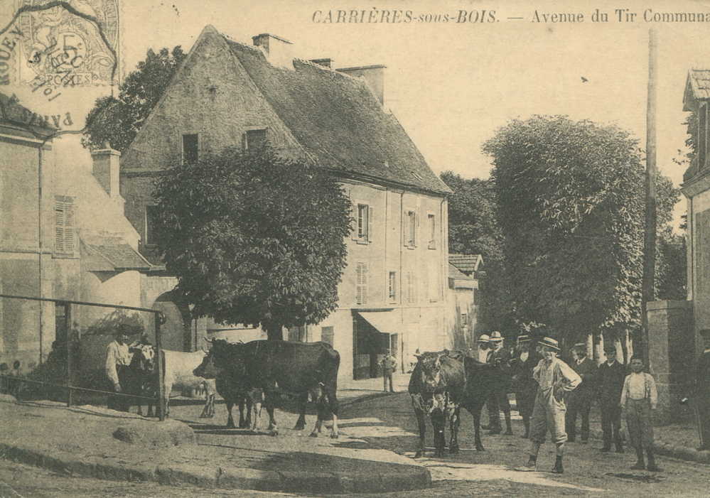 78 - Carrières Sous Bois : Avenue Du Tir Communal (REPRODUCTION) - Sonstige & Ohne Zuordnung