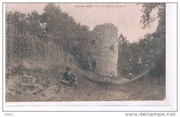 LORREZ LE BOCAGE - Ruines De La Tour Du Moulin à Vent - Lorrez Le Bocage Preaux