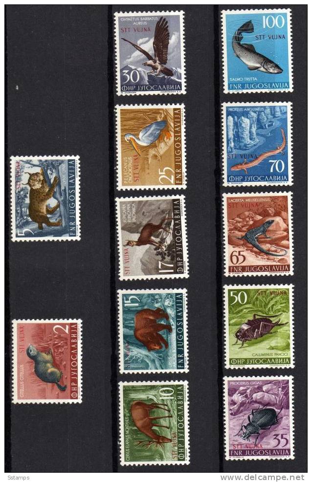 U-37 TRIESTE B JUGOSLAVIA ITALIA FAUNA ORSI PESCI INSETTI BIRDS NEVER HINGED - Ours