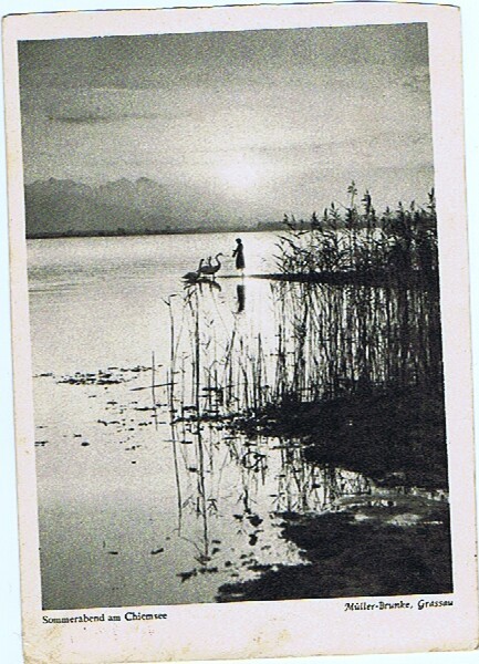 Sommerabend Am Chiemsee   1957 - Chiemgauer Alpen