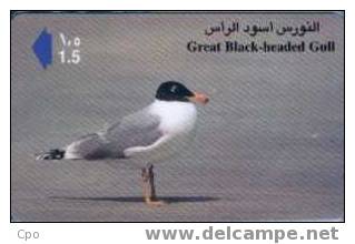 # OMAN A33 Great Black-headed Gull 1,5 Gpt -oiseaux,birds-  Tres Bon Etat - Oman