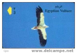 # OMAN A17 Egyptian Vulture 3 Gpt -oiseaux,birds,awk,aigle-  Tres Bon Etat - Oman