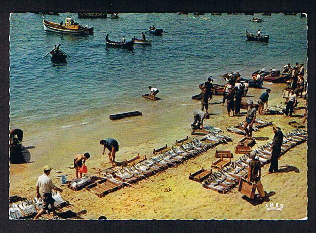 RB 621 -  Lota Do Peixe Sesimbra Portugal Postcard - Fisherman On Beach - Setúbal