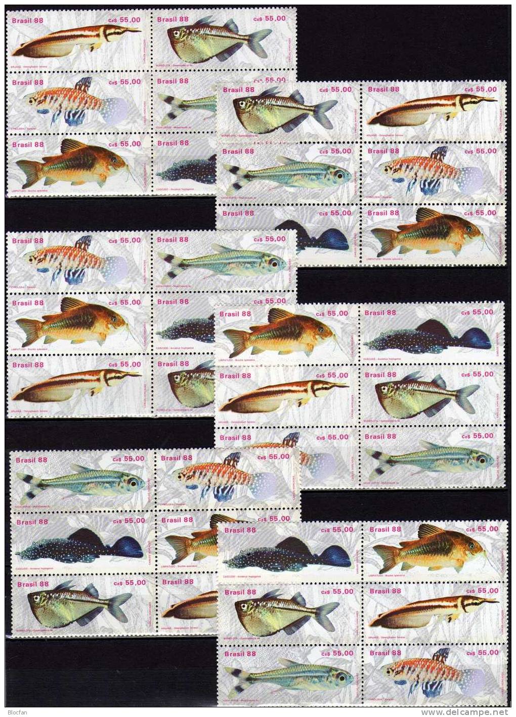 WWF Naturschutz Fische 1988 Brasilien 2276/1+ 6x6- Block ** 30€ Bf Bloc Se-tenant Beil Bart Neon Kärpfling Glanz-Wels - Verzamelingen & Reeksen