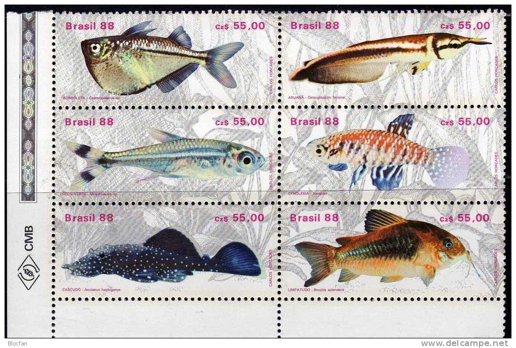 WWF Naturschutz Fische 1988 Brasilien 2276/1+ 6x6- Block ** 30€ Bf Bloc Se-tenant Beil Bart Neon Kärpfling Glanz-Wels - Collezioni & Lotti