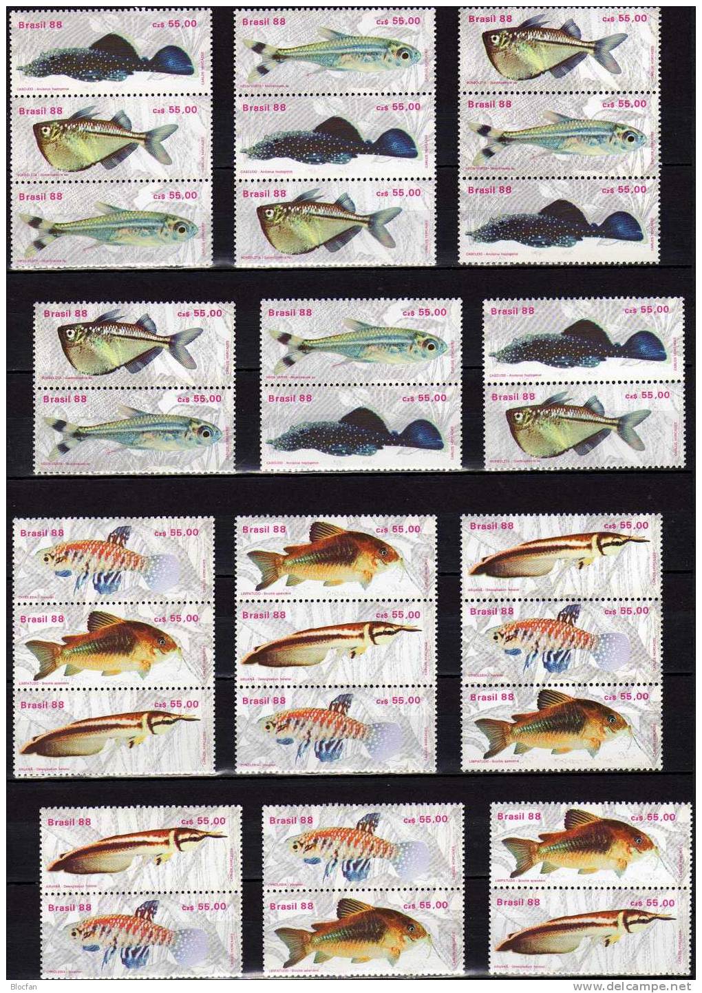 Varianten WWF Fische 1988 Brasilien 2276/1+ 12xZD Senkrecht ** 17€ Bf Bloc Se-tenant Beil Bart Neon Kärpfling Glanz-Wels - Nuovi