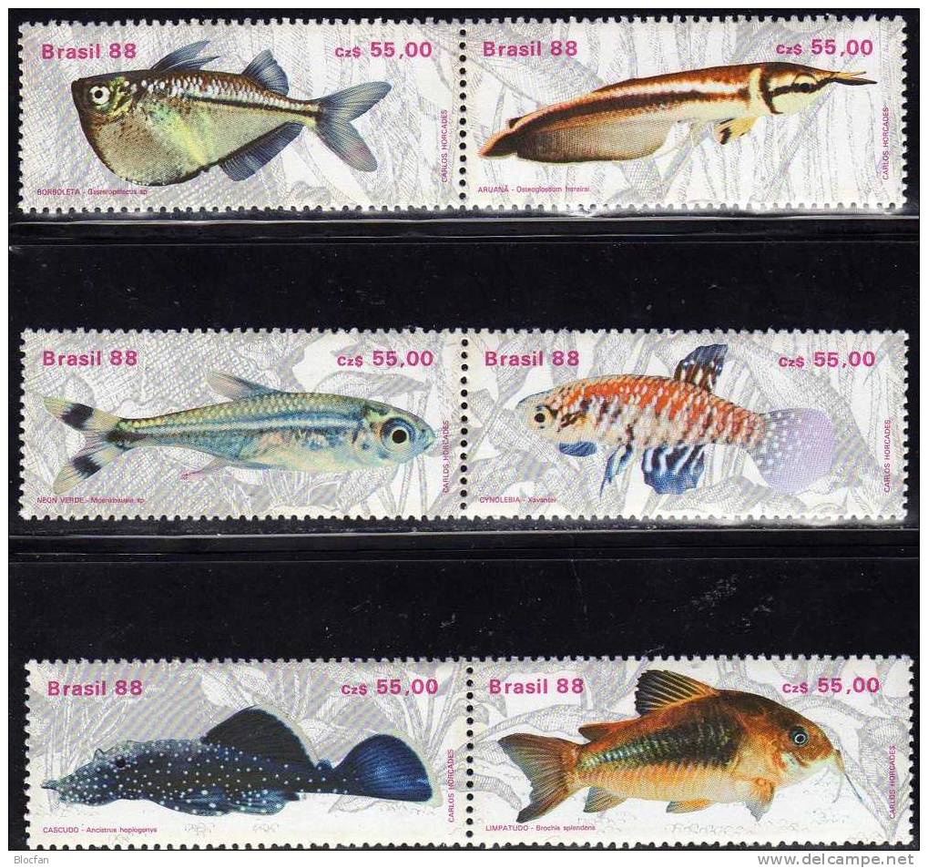 Varianten WWF Fische 1988 Brasilien 2276/1+ 12xZD Senkrecht ** 17€ Bf Bloc Se-tenant Beil Bart Neon Kärpfling Glanz-Wels - Unused Stamps