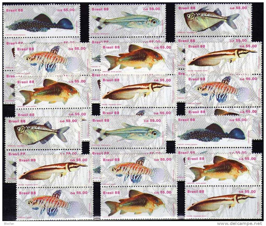 Varianten WWF Fische 1988 Brasilien 2276/1+ 12xZD Senkrecht ** 17€ Bf Bloc Se-tenant Beil Bart Neon Kärpfling Glanz-Wels - Unused Stamps