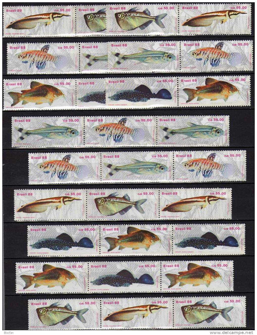 Variationen WWF Fische 1988 Brasilien 2276/1+ 12x ZD Waagrecht ** 20€ Bloc Se-tenant Beil Bart Neon Kärpfling Glanz-Wels - Ungebraucht