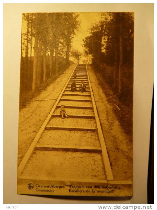 Geraardsbergen. Grammont. Escaliers De La Montagne. Trappen Van Den Oudenberg - Geraardsbergen