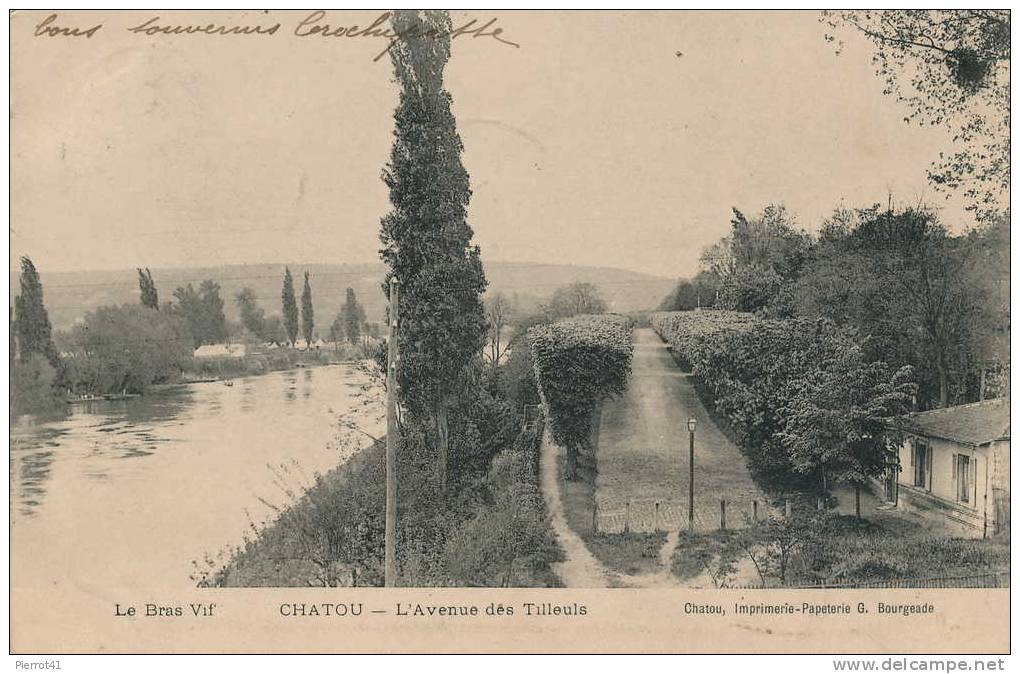 CHATOU - Avenue Des Tilleuls - Chatou
