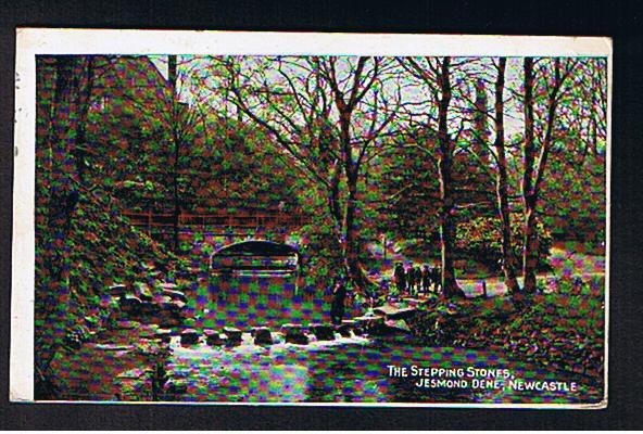 RB 623 - 1924 Postcard The Stepping Stones Jesmond Dene Near Newcastle Northumberland - Newcastle-upon-Tyne