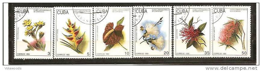 Cuba - Serie Completa Usata: Fiori Del Giardino Botanico Di Cinefuegos - 1993 - Usati