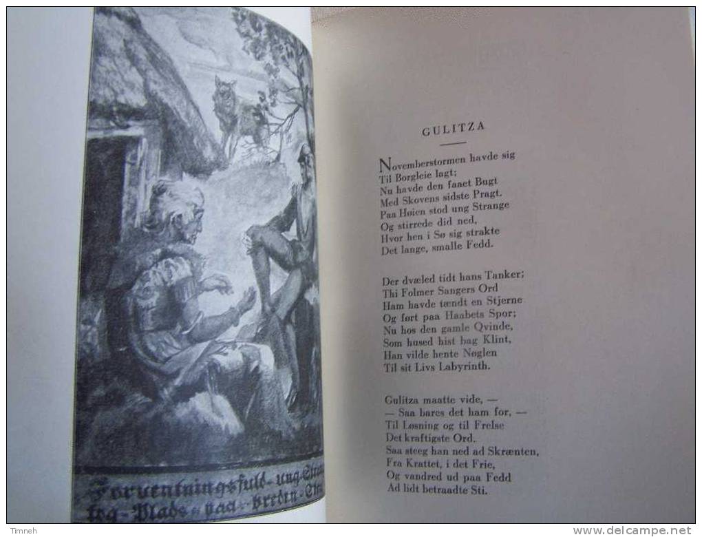 HJORTENS FLUGT Christian WINTHER 1930 édition Emil Wienes Forlag KOBENHAVN- - Langues Scandinaves