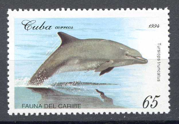 CUBA   1994   Yvert 3405   Michel 3786   Dauphin   Dolphin - Dolphins