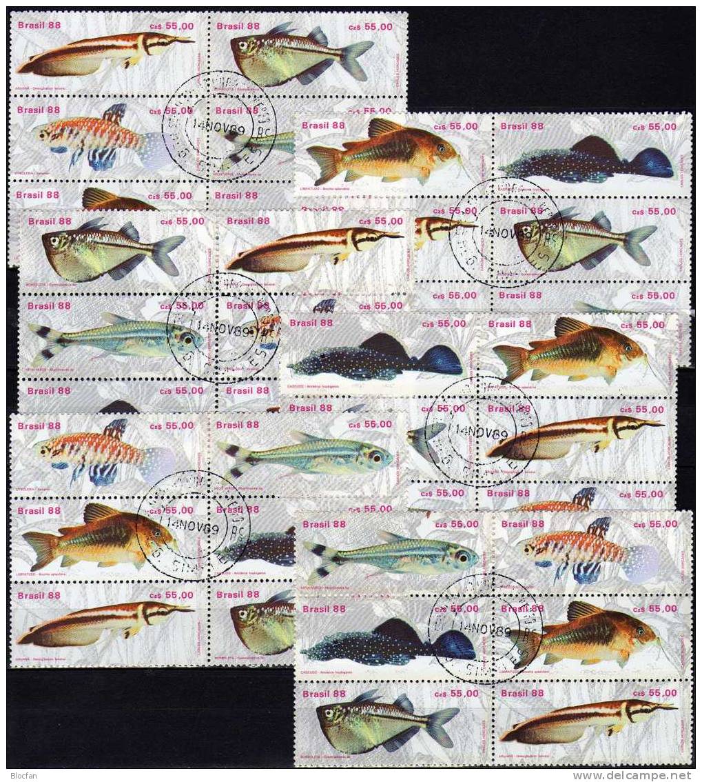 WWF Naturschutz Fische 1988 Brasilien 2276/1 Plus 6x6- Block O 30€ Bf Bloc Se-tenant Beil Bart Neon Kärpfling Glanz-Wels - Lots & Kiloware (mixtures) - Max. 999 Stamps