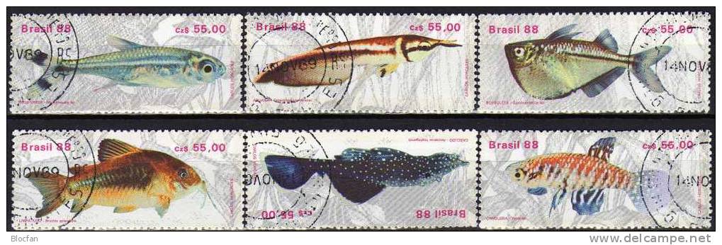 WWF Gestempelt Naturschutz Fische 1988 Brasilien 2276/1+ 6-Block O 5€ Bloc Se-tenant Beil Bart Neon Kärpfling Glanz-Wels - Blokken & Velletjes