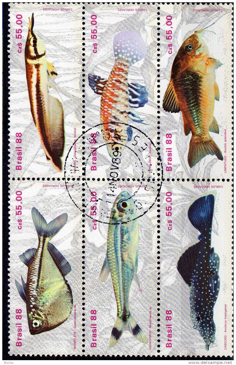 WWF Gestempelt Naturschutz Fische 1988 Brasilien 2276/1+ 6-Block O 5€ Bloc Se-tenant Beil Bart Neon Kärpfling Glanz-Wels - Blocs-feuillets