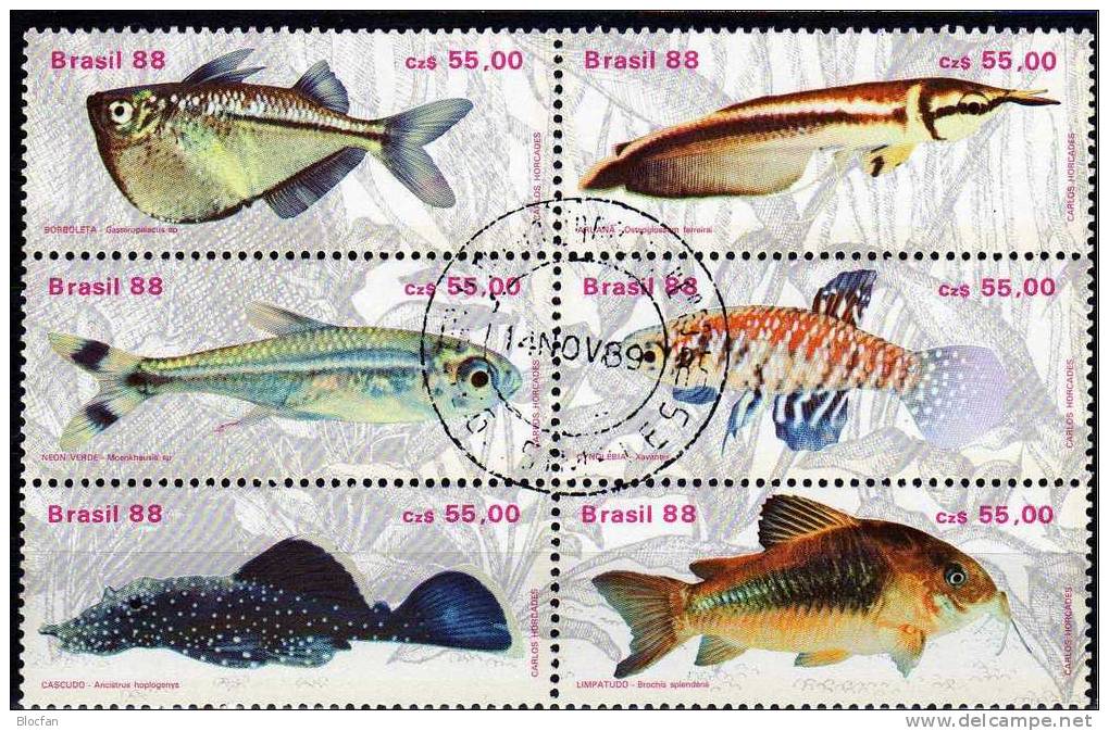 WWF Gestempelt Naturschutz Fische 1988 Brasilien 2276/1+ 6-Block O 5€ Bloc Se-tenant Beil Bart Neon Kärpfling Glanz-Wels - Blocchi & Foglietti