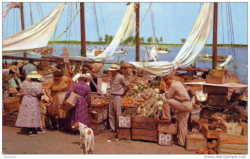 NASSAU (Bahamas). Market Fruits And Vegetables. Posted For GRADISCA (ITALY) 1952. - Altri & Non Classificati