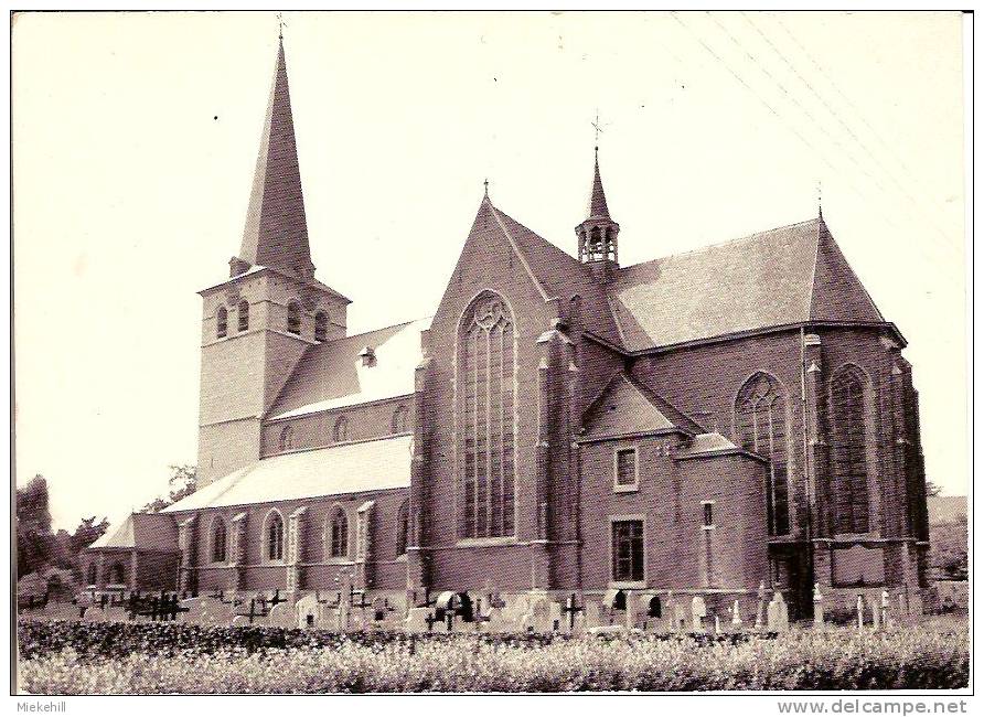 ZANDHOVEN-St-AMELBERGAKERK - Zandhoven