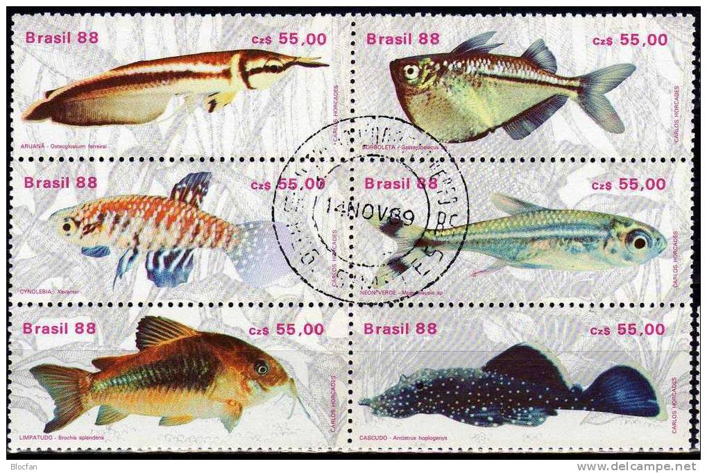 WWF Gestempelt Naturschutz Fische 1988 Brasilien 2276/1,6xZD+6-Block O 16€ Se-tenant Beil Bart Neon Kärpfling Glanz-Wels - Lots & Serien