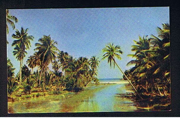 RB 626 -  Jamaica Postcard White River St Ann  - British West Indies - Jamaica