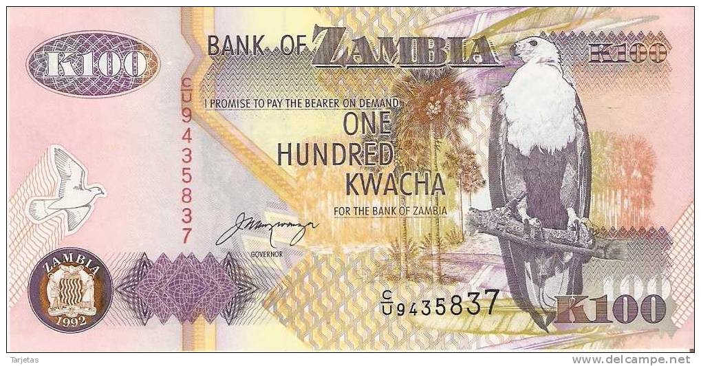 BILLETE DE ZAMBIA DE 100 KWACHA SIN CIRCULAR  (BANKNOTE) - Zambia