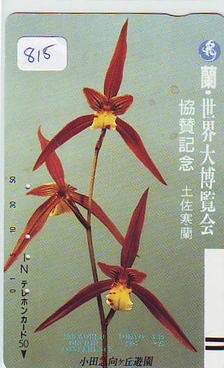 Télécarte Japon FLEUR ORCHID (815) * Orchidée Orquídea Orchidee Orquidée Orchid * Phonecard  Flower Japon * Front Bar - Fleurs