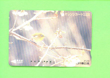 JAPAN - Orange Picture Rail Ticket/Bird As Scan - Mondo