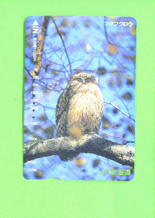 JAPAN - Orange Picture Rail Ticket/Bird (Owl)As Scan - Monde