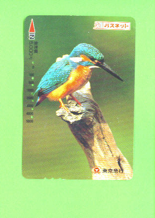 JAPAN - Orange Picture Rail Ticket/Bird (Kingfisher) As Scan - Wereld