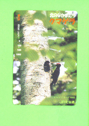 JAPAN - Orange Picture Rail Ticket/Bird As Scan - Welt