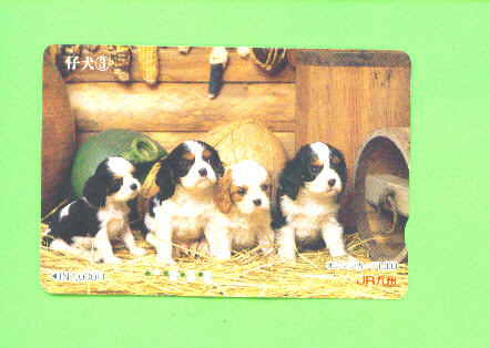 JAPAN - Orange Picture Rail Ticket/Animal/Dog  As Scan - Wereld