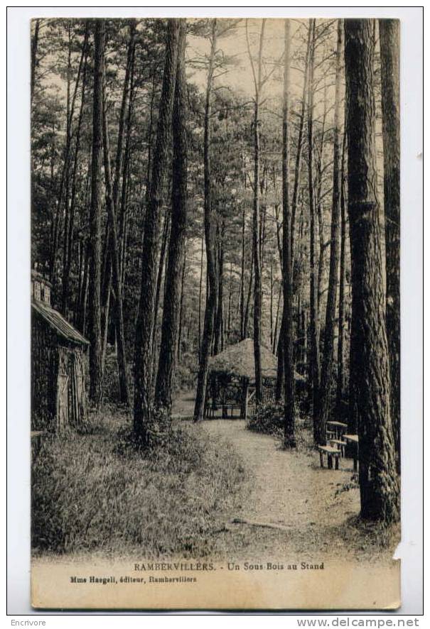 Cpa RAMBERVILLERS Un Sous Bois Au Stand - Ed Haegeli - Rambervillers