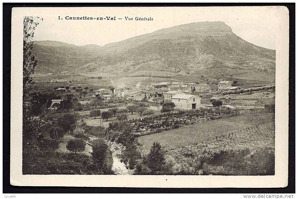 CPA  ANCIENNE- FRANCE- CAUNETTES-EN-VAL (11)-  VUE GENERALE DU VILLAGE ET DES CULTURES-  VIGNES- OLIVIERS - Autres & Non Classés