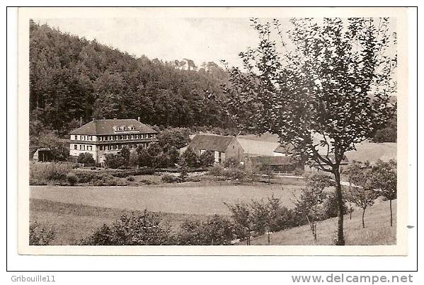 EISENBERG  - * HOTEL & PENSION  WALDHAUS AMTSSCHREIBERSMÜHLE  IM MÜHLTAL * -  Verlag : Albert KREBS Aus Leipzig   N° 246 - Eisenberg