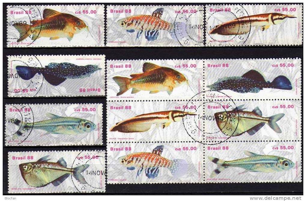 Naturschutz Fische 1988 Brasilien 2276/1,24xZD-Varianten+6-Block O 40€ Beil Bart Neon Kärpfling Wels Glanzwels Bf BRAZIL - Collections, Lots & Series
