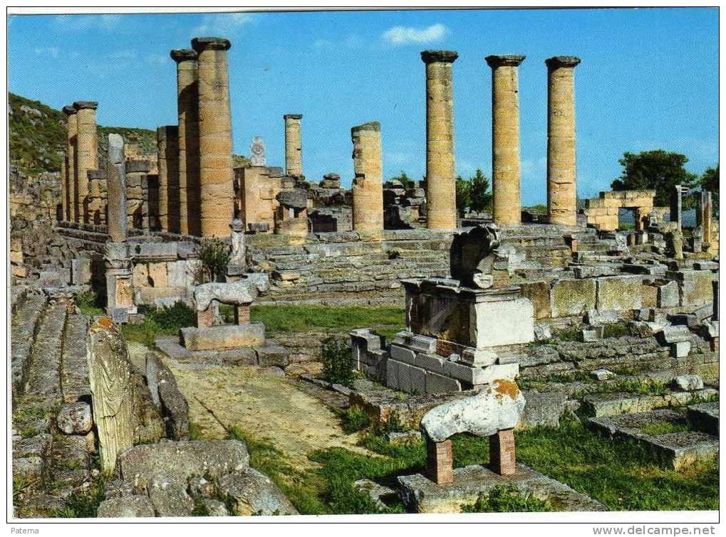 Postal, RUINAS ROMANAS, Arqueología, ( Libia), Post Card, Postkarte - Otros & Sin Clasificación