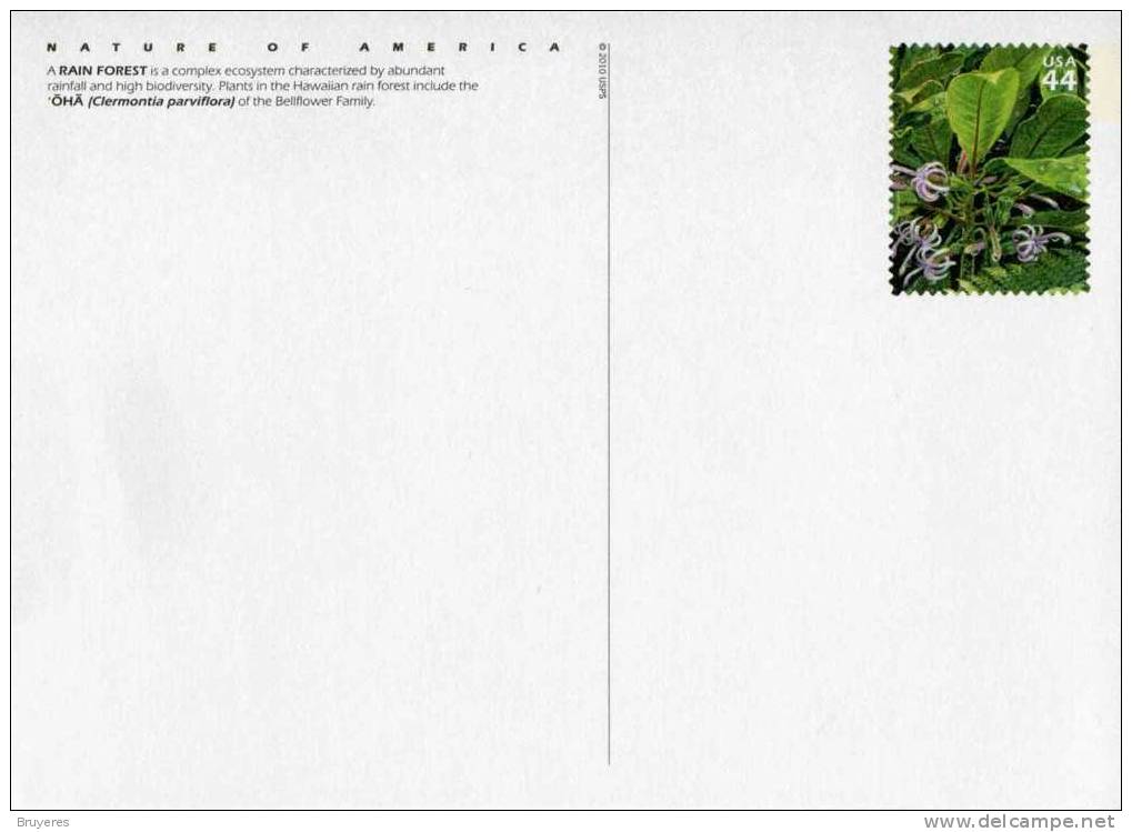 Entier Postal De 2010 Sur Carte Postale Avec  Timbre Et Illust. "Hawaiian Forest " - 2001-10